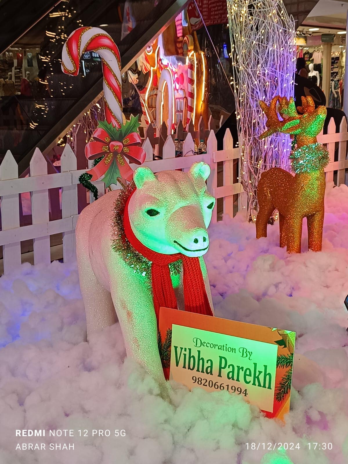 WhatsApp Image 2024-12-18 at 18.02.54 (1)